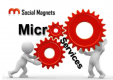 Cursos de Arquitectura de microservicios en Panama