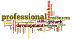 Desarrollo profesional