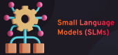 Category for Small Language Models (SLMs) Training in Panama