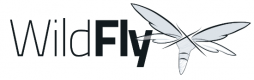 Cursos de Wildfly en Panama