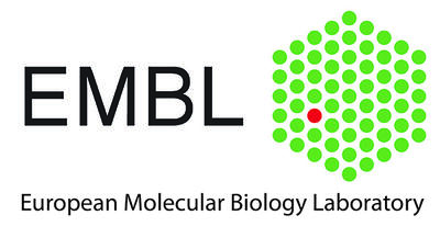 european molecular biology laboratory (embl) european molecular biology laboratory (embl)